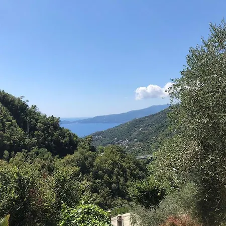 Casa Madeleine *